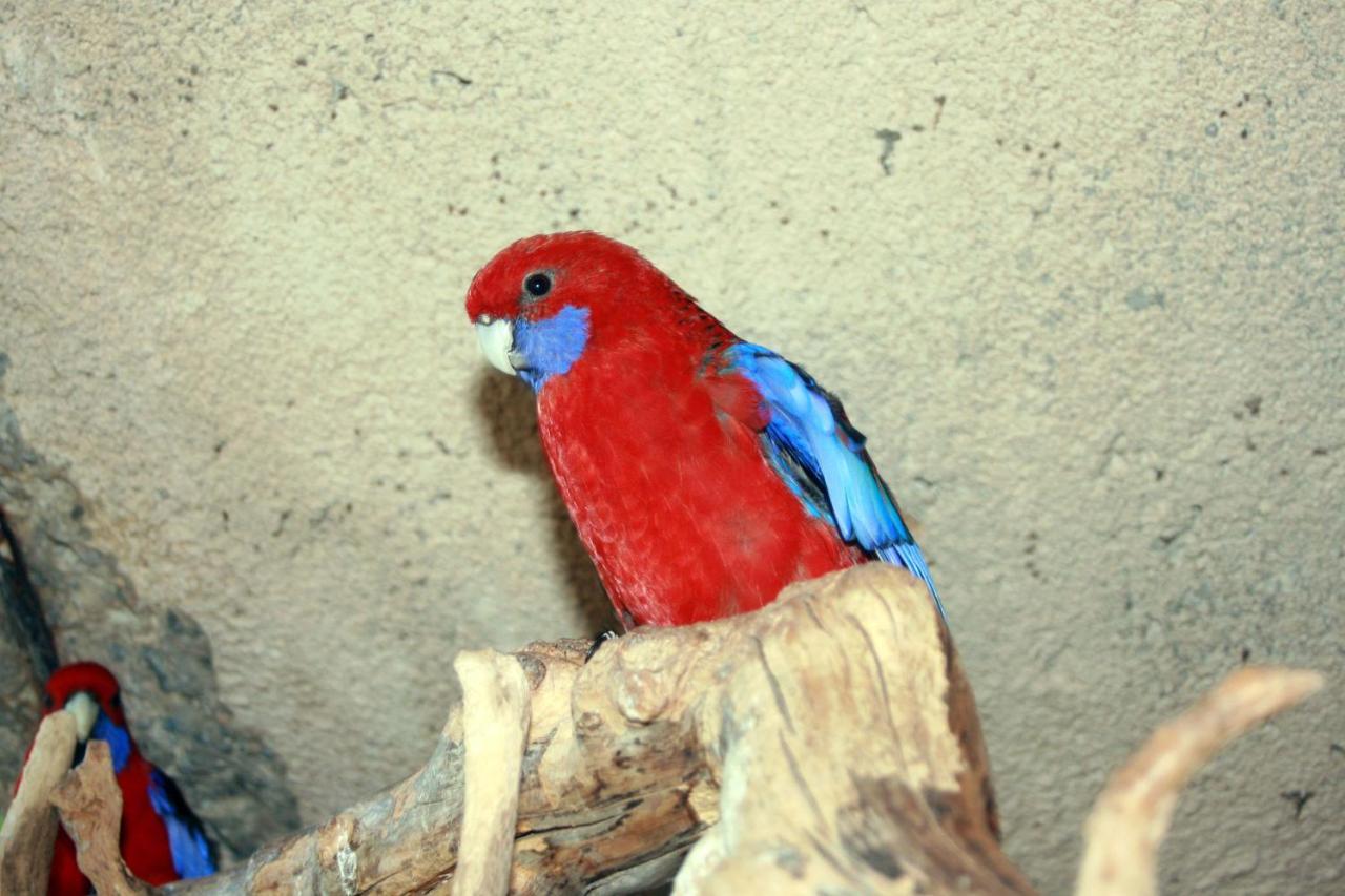 Gites Le Pimayon Manosque Luaran gambar