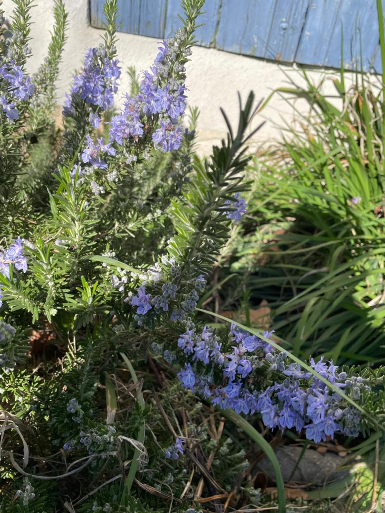 Gites Le Pimayon Manosque Luaran gambar