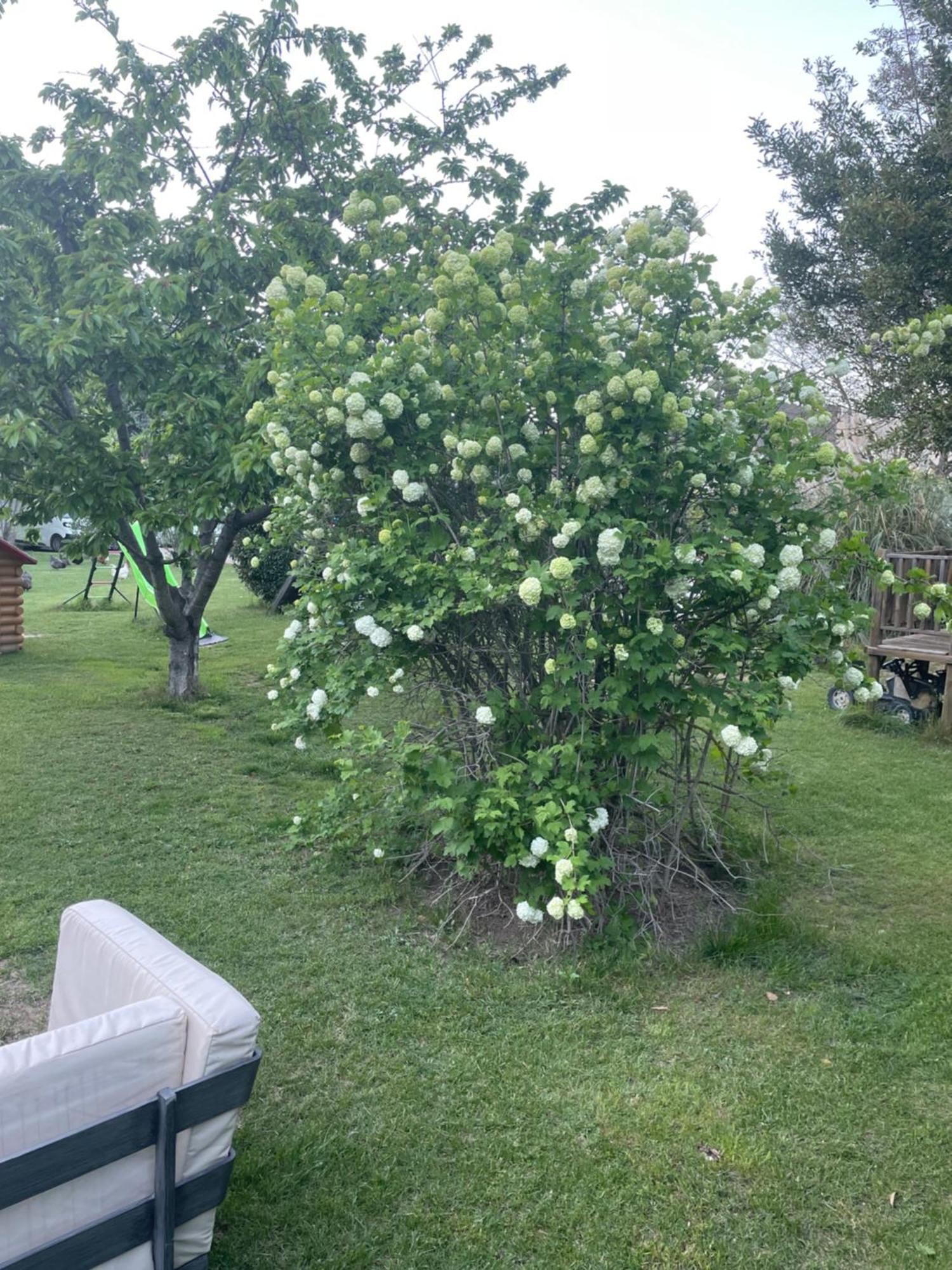 Gites Le Pimayon Manosque Luaran gambar