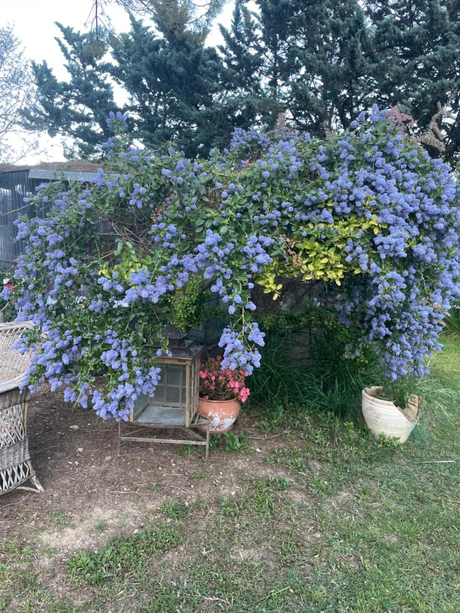 Gites Le Pimayon Manosque Luaran gambar